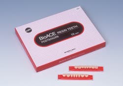 松風バイオエースレジン歯20°(臼歯)の画像